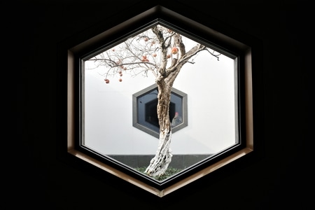 我的2019-gr3-镜子-相框-树 图片素材