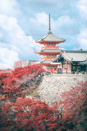 清水寺-日本-世界很美好-我要上封面-旅行 图片素材
