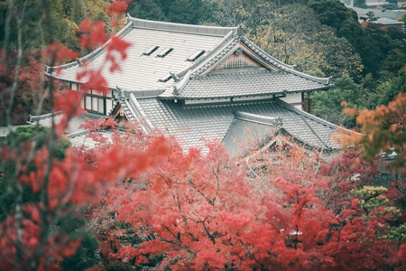 清水寺-日本-世界很美好-我要上封面-旅行 图片素材