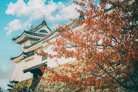 旅拍-旅行-我要上封面-世界很美好-和歌山 图片素材