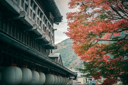 伊势神宫-日本-世界很美好-我要上封面-旅拍 图片素材
