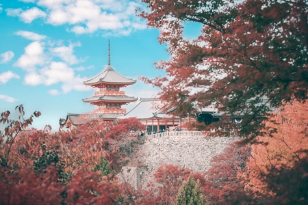清水寺-日本-世界很美好-我要上封面-旅行 图片素材