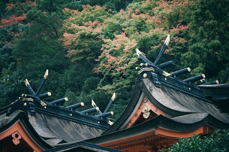 日本-世界很美好-我要上封面-旅拍-旅行 图片素材