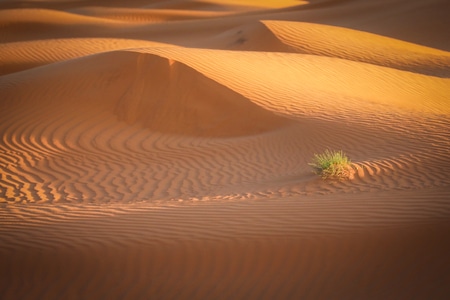 沙漠-撒哈拉-旅行-摩洛哥-旅拍 图片素材
