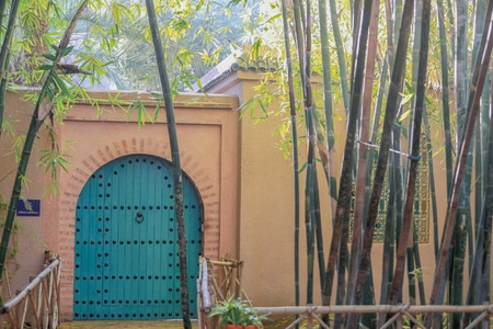 旅行-马拉喀什-摩洛哥-旅拍-马约尔花园 图片素材