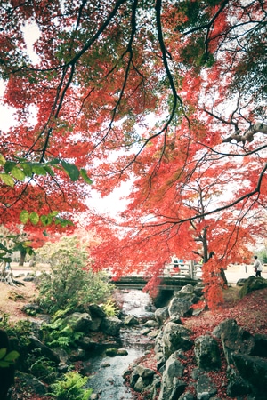 奈良-日本-世界很美好-我要上封面-旅拍 图片素材