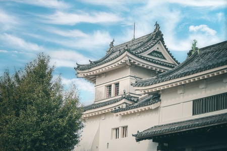旅拍-旅行-我要上封面-世界很美好-和歌山 图片素材