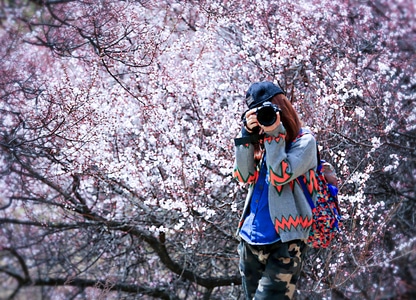 桃花节-林芝-西藏-世界很美好-旅拍 图片素材