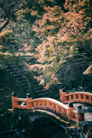 日本-世界很美好-我要上封面-旅拍-旅行 图片素材
