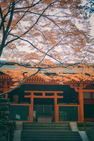 旅行-我要上封面-世界很美好-日本-奈良 图片素材