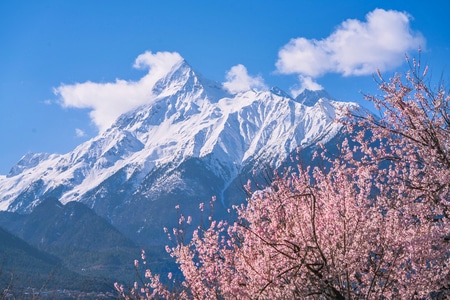 我要上封面-旅行-旅拍-世界很美好-西藏 图片素材