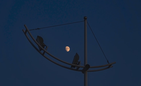 夜景-路灯-月亮-天空-夜景 图片素材