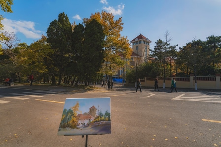 树林-蓝天白云-公园-旅行-我的2019 图片素材
