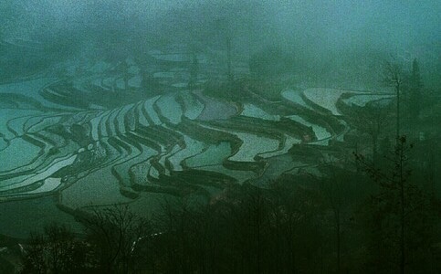 元阳印象-梯田晨雾-梯田-风景-风光 图片素材