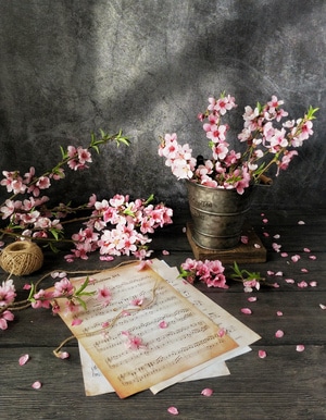 静物-生活-宅家-花-花朵 图片素材