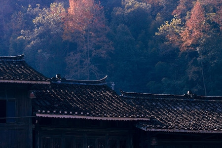 屋顶-瓦房-秋-风景-房屋 图片素材