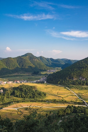 秋天-稻谷-金秋-田园-风光 图片素材