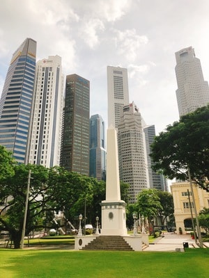 植物-蓝天-景点-原图-公园 图片素材