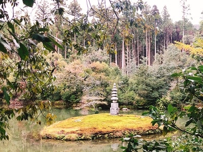 亲子游-旅游-街头摄影-街头-街拍 图片素材