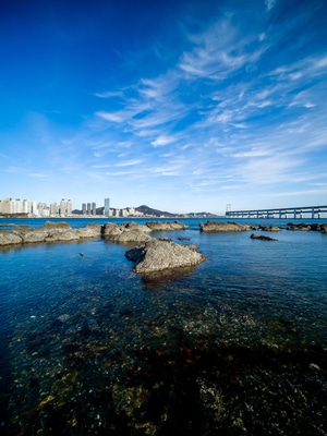 公园-旅游-环保-素材-冬天 图片素材