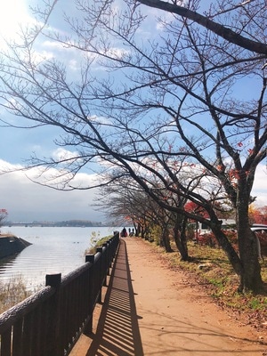 风光-旅行-浅草寺-东京-日本 图片素材