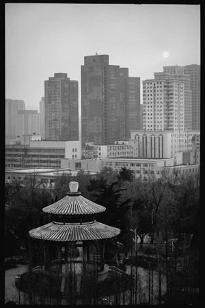 环保-环境-大连-儿童-旅行 图片素材