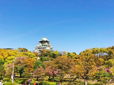 日本-大阪-天守阁-日剧-街头 图片素材
