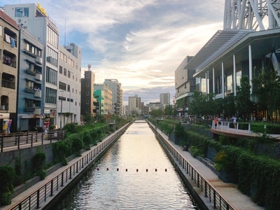 浅草寺-东京-日本-日剧-素材 图片素材