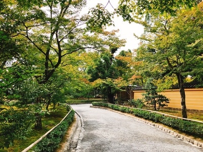 风光-旅行-街头摄影-胶片-街头 图片素材