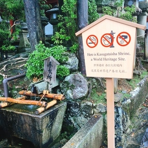 京都-奈良-日剧-大阪-东京 图片素材