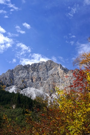 风光-旅行-花-花卉-纪实 图片素材