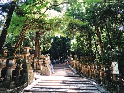 街头摄影-旅游-nomo-旅行-街拍 图片素材