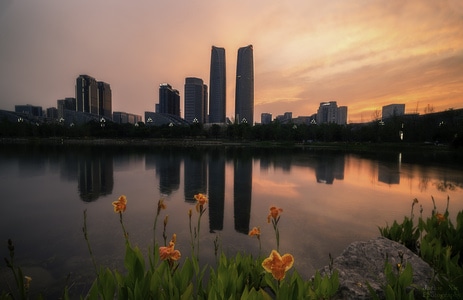 城市-风光-花-自然-光影 图片素材