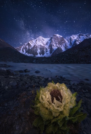 雪山-新疆-风光-山峰-湖 图片素材