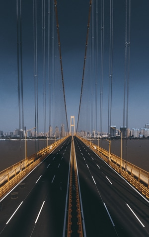 大桥-城市风光-吊桥-杨泗港大桥-建筑 图片素材