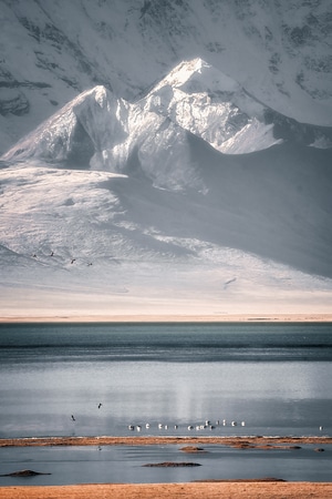 西藏-多情措-雪山-海滨-海洋 图片素材