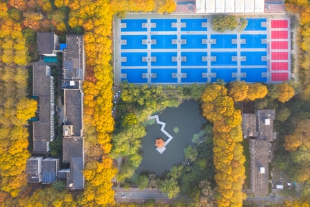 一镜知秋-武汉大学-运动场-池塘-风景 图片素材