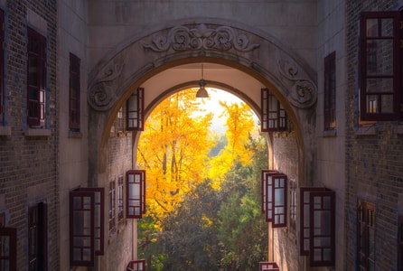 武汉大学-风光-色彩-旅行-大学 图片素材