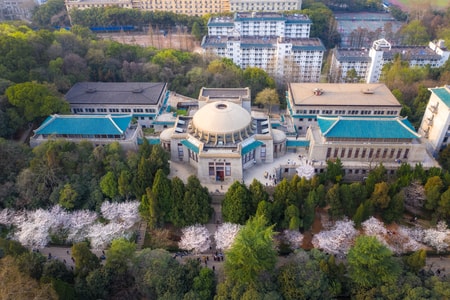 樱花-武汉大学-武汉-大学-色彩 图片素材