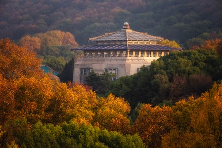 武汉大学-风光-色彩-旅行-大学 图片素材