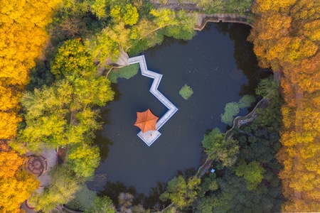 一镜知秋-武汉大学-池塘-水面-风景 图片素材