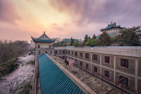 武汉大学-风光-色彩-旅行-大学 图片素材