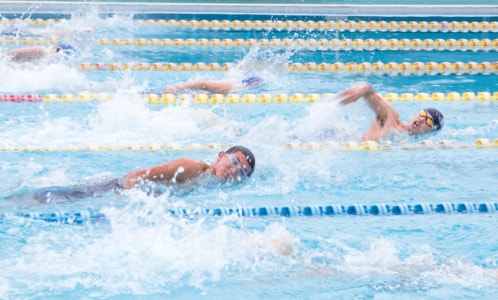 蛙泳-自由泳-仰泳-成都大学-体育 图片素材
