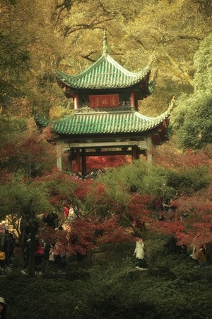 风光-亭子-凉亭-爱晚亭-游客 图片素材