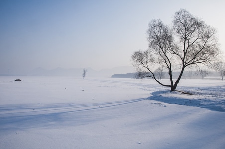 冬天-白雪-山区-树木-旅行 图片素材