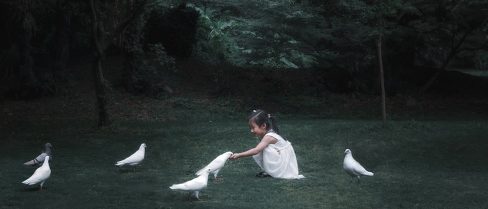 尼康-光影-南京-女孩-鸽子 图片素材