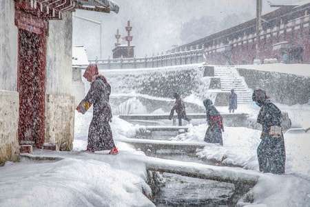 纪实-旅游-桥-雪-雪天 图片素材