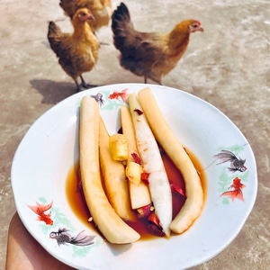 iphone7p-手机调色-随拍-食物-宅家美食 图片素材