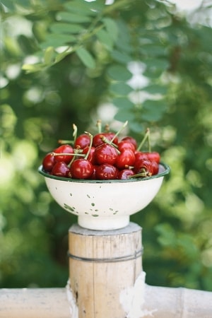 美食-樱桃-旅行-石榴-野玫瑰果 图片素材
