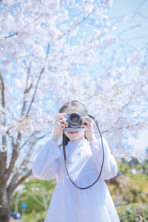 人像写真-樱花树-樱花写真-气泡-美女 图片素材